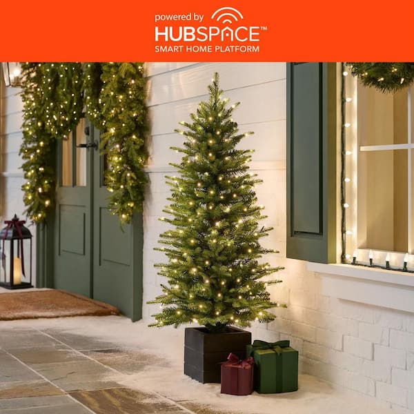 4 ft Potted SMART Grand Duchess Twinkling Balsam Fir LED Pre-Lit Tree T40