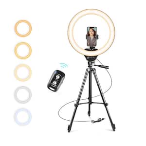 14 in. Ring Light with Stand and Phone Holder