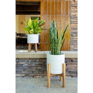 10 in. and 8 in. Matte White Ceramic Roman Planter on Wood Stand Mid-Century Planter (Set of 2)