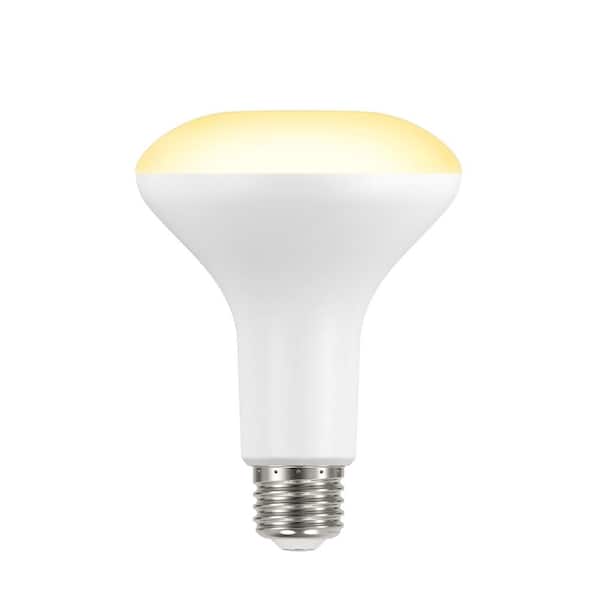 EcoSmart 65-Watt Equivalent BR30 Dimmable LED Light Bulb Bright White (6-Pack)