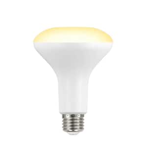 90-Watt Equivalent BR30 Dimmable ENERGY STAR LED Light Bulb Bright White (2-Pack)