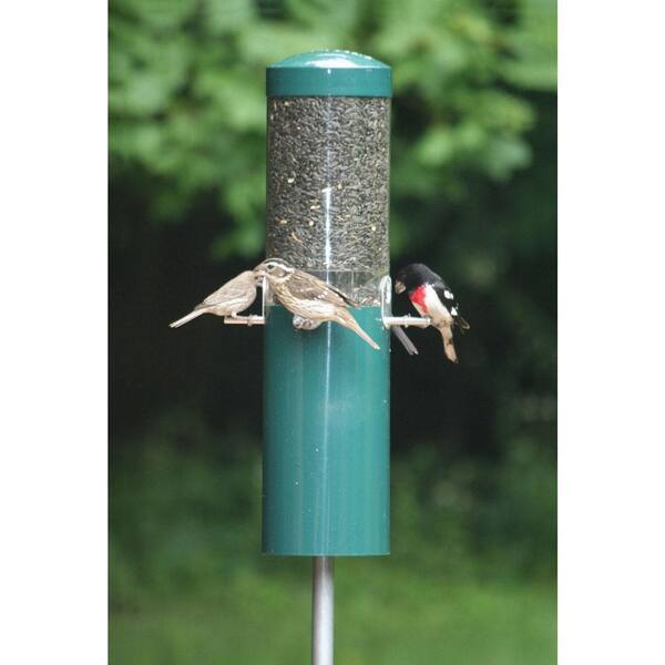 Does Home Depot Sell Bird Feeders: Top Picks & Buying Guide
