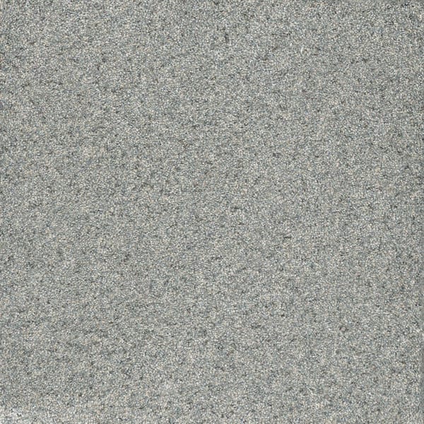 Home Decorators Collection Brightstone I  - Fancy - Gray 40 oz. SD Polyester Texture Installed Carpet