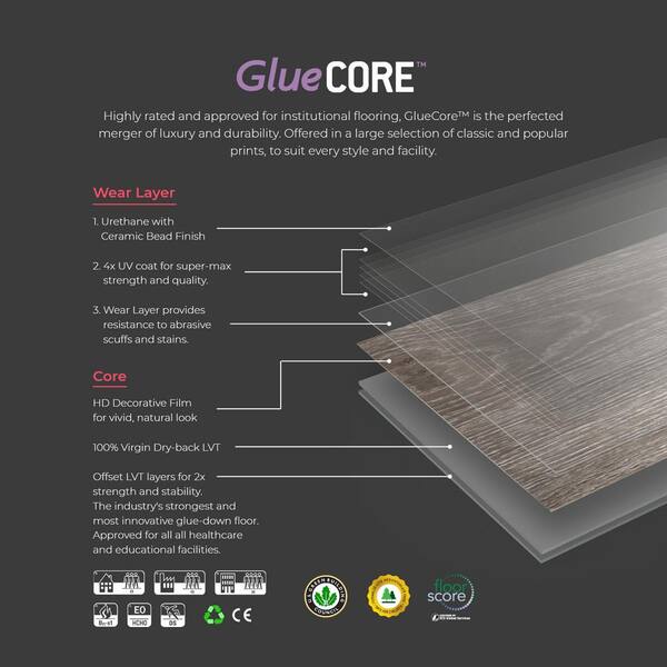 Lucida USA (Sample) Gluecore Moonrock Multiple Colors/Finishes Stone Look 22-mil Glue Down Luxury Vinyl Plank