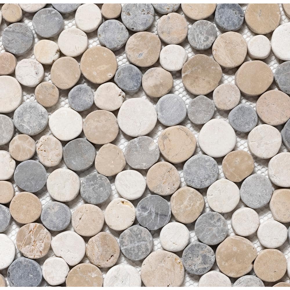 Stone Penny Rounds Tan, White and Grey 4 in. x 6 in. Honed Marble Mesh-Mounted Mosaic Tile Sample (0.67 sq. ft./Each) price history on PriceWatchPro