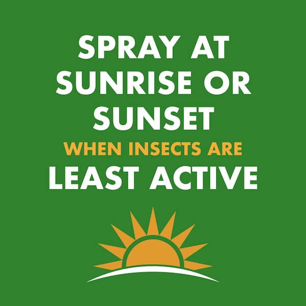 Spectracide - 18.5 oz. Wasp and Hornet Killer Aerosol Spray (Insect Killer) (2-Count)