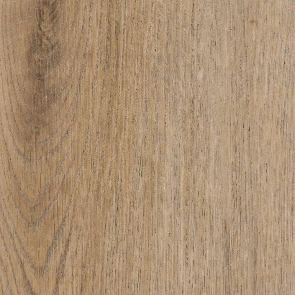 Take Home Sample - Liz Marie's Modern Maven 7 in. W Cliffside Tan Rigid Core Click Lock Luxury Vinyl Plank Flooring price history on PriceWatchPro