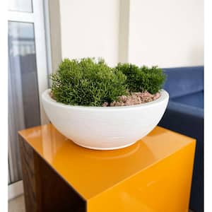 Amsterdan Large White Plastic Resin Indoor and Outdoor Planter Bowl