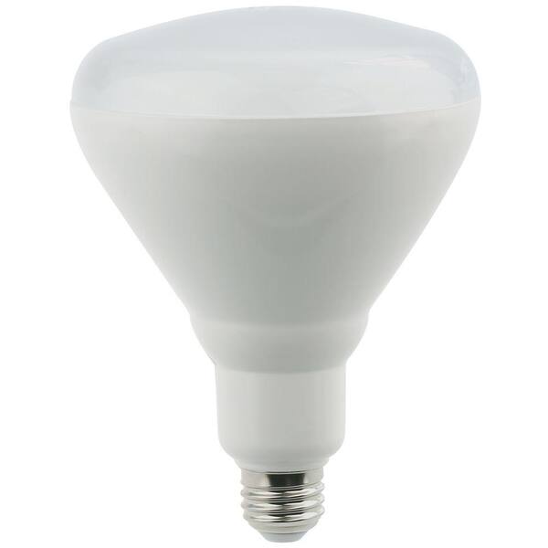 Elegant Lighting 75W Equivalent Soft White E26 Dimmable LED Light Bulb