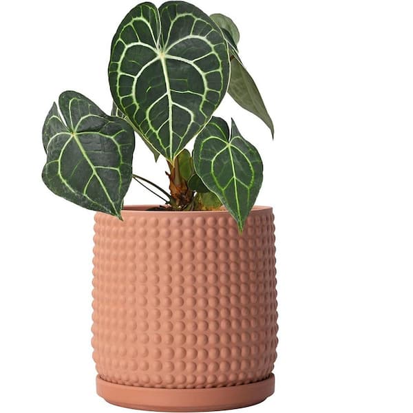 ITOPFOX Beaded 5.8 in. L x 5.8 in. W x 6.5 in. H 2.4 qts. Teracotta Indoor Ceramic Planter 1 (-Pack)