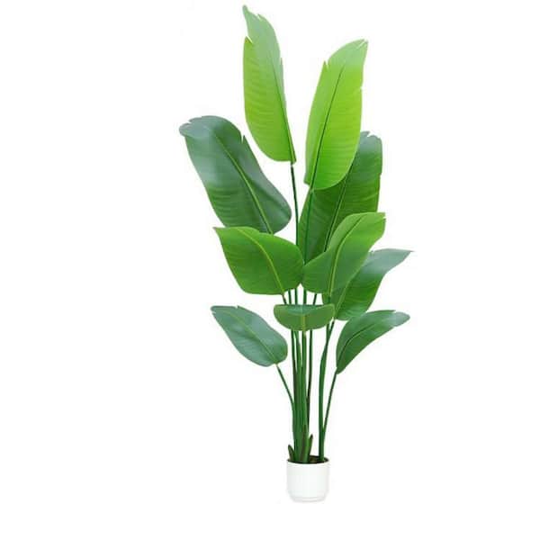 5 ft. Artificial Plastic Plant L0DC9KDXP8 - The Home Depot
