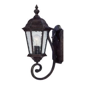 Acclaim Lighting Laurens Collection 1-Light Black Coral Outdoor Wall ...