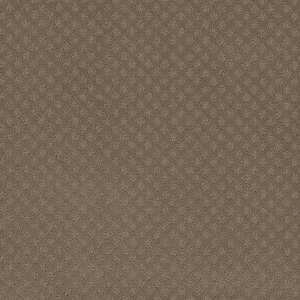 Camelia Lane - Fawn - Beige 28 oz. SD Polyester Loop Installed Carpet