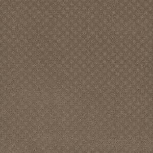 Camelia Lane - Fawn - Beige 28 oz. SD Polyester Loop Installed Carpet