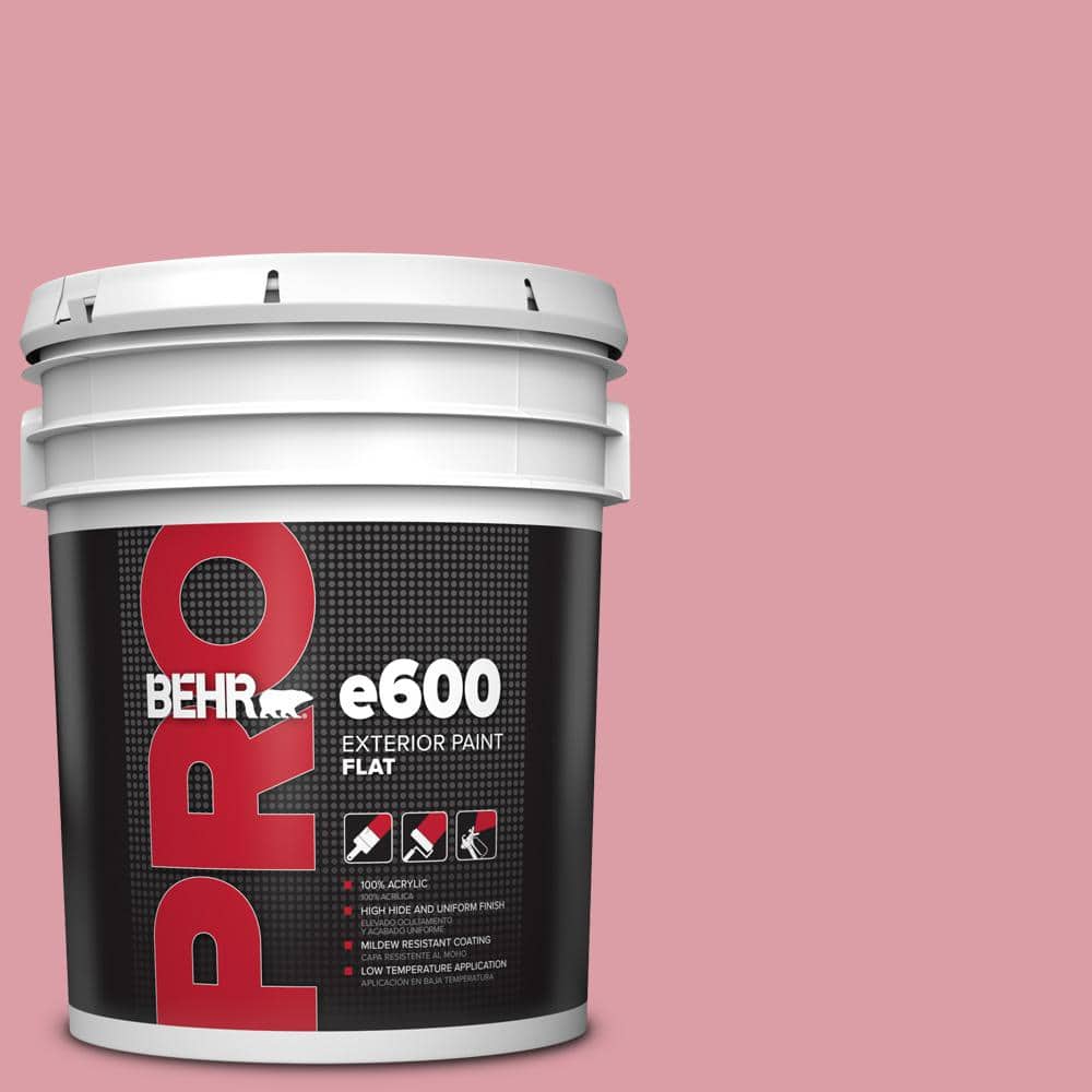 5 gal. #110C-3 Glamour Flat Exterior Paint price history on PriceWatchPro