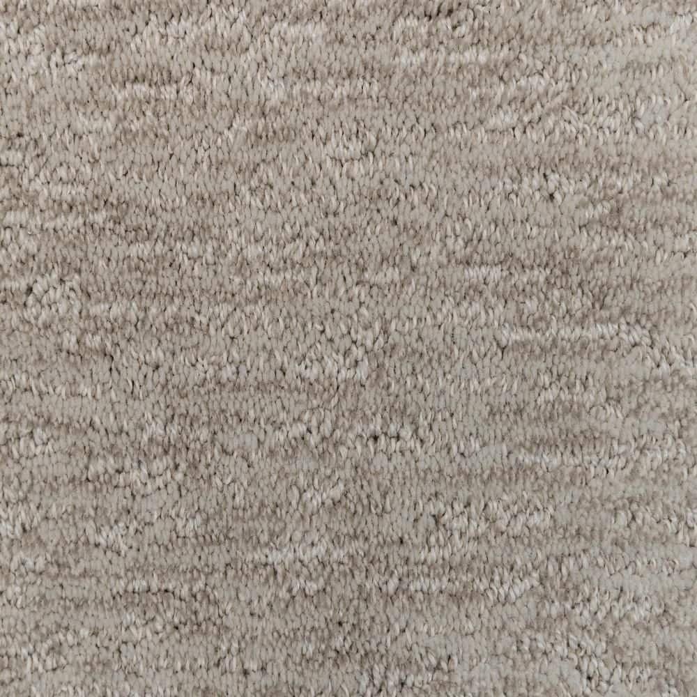 Home Decorators Collection 8 in. x 8 in. Pattern Carpet Sample