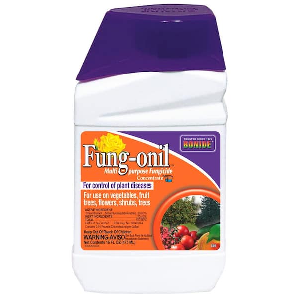 Bonide Fung-onil Multi-Purpose Fungicide, 16 oz. Concentrate for Plant Disease Control, Controls Blight, Mildew and More