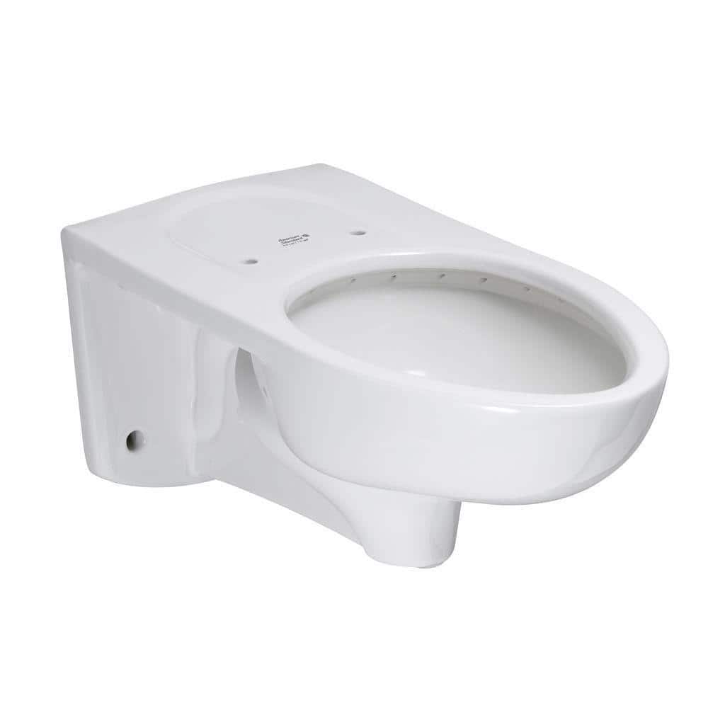 Afwall FloWise EverClean 1.1 GPF Elongated Toilet Bowl Only and Back Spud F