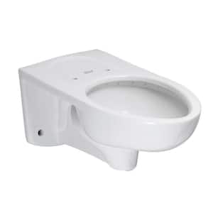Afwall FloWise EverClean 1.1 GPF Elongated Toilet Bowl Only and Back Spud Flushometer in White