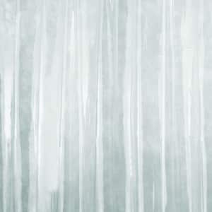 Stall Size Shower Curtain Liner in Clear
