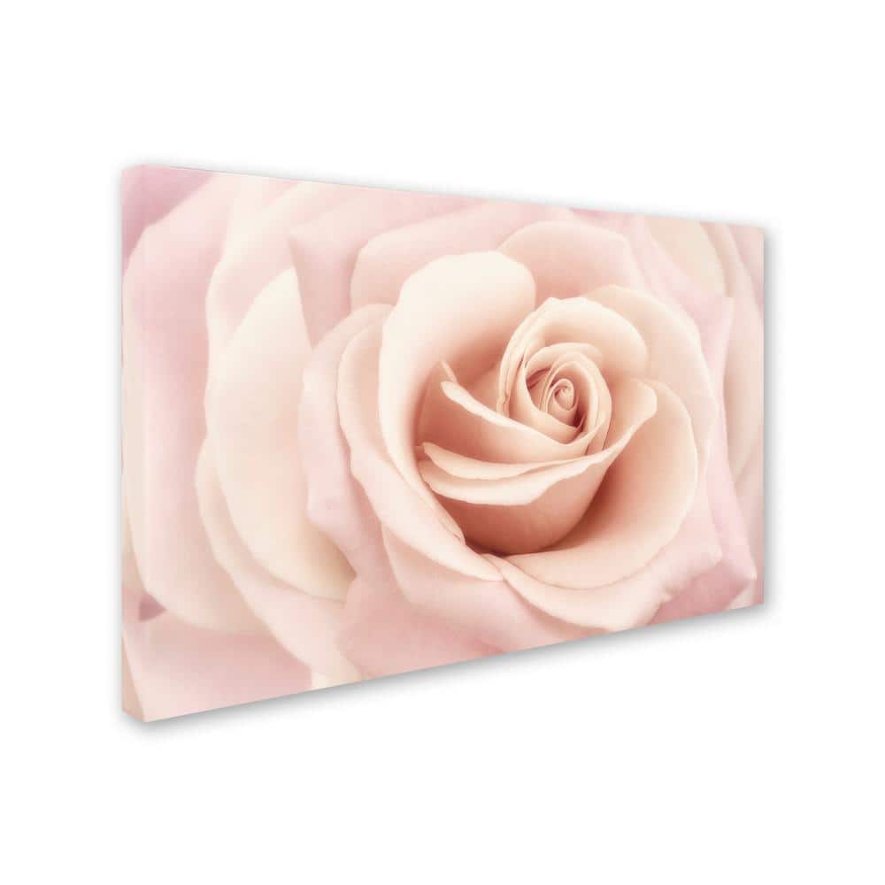 Peach Pink Rose Floral Canvas Art in Wooden Frame