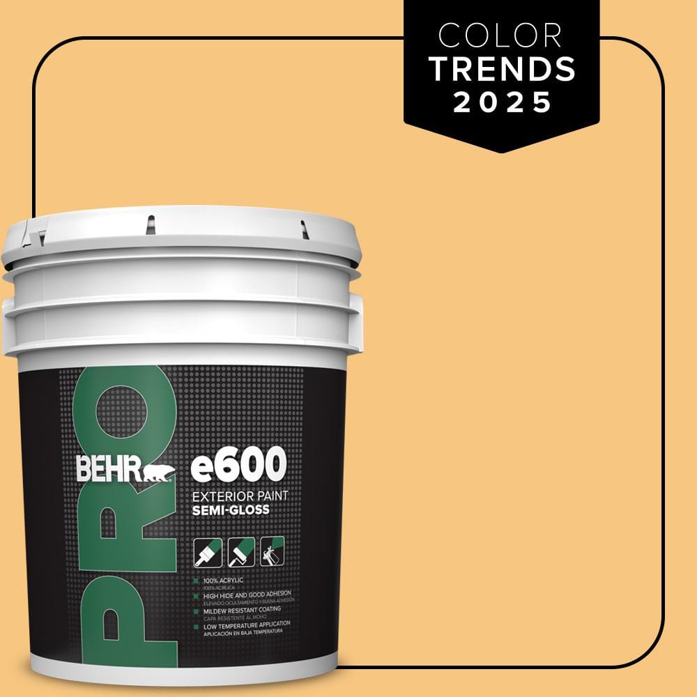 5 gal. #PPU6-07 Jackfruit Semi-Gloss Exterior Paint price history on PriceWatchPro