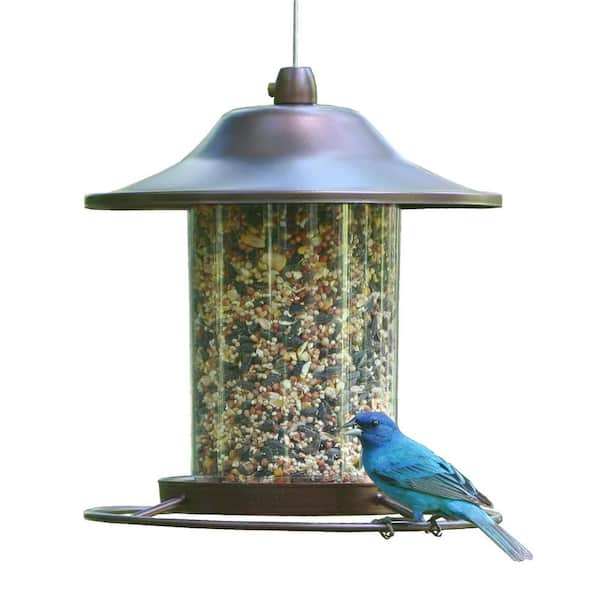 Misopily Durable Brown Plastic Squirrel Guard Hanging Wild Bird Seed Feeder - 2 Pounds 1-Pack