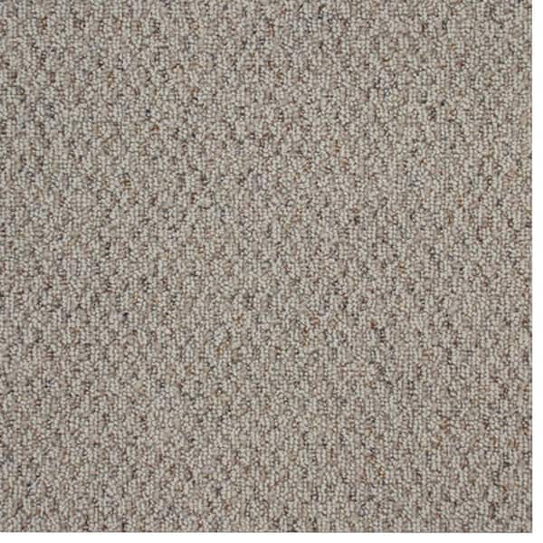 TrafficMaster Carpet Sample - Big Picture - Color White Pewter Berber 8 in. x 8 in.