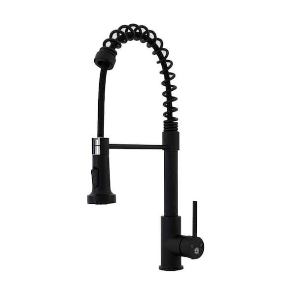 S STRICTLY KITCHEN + BATH Pasha Single Handle Pull-Down Sprayer Kitchen Faucet in Matte Black