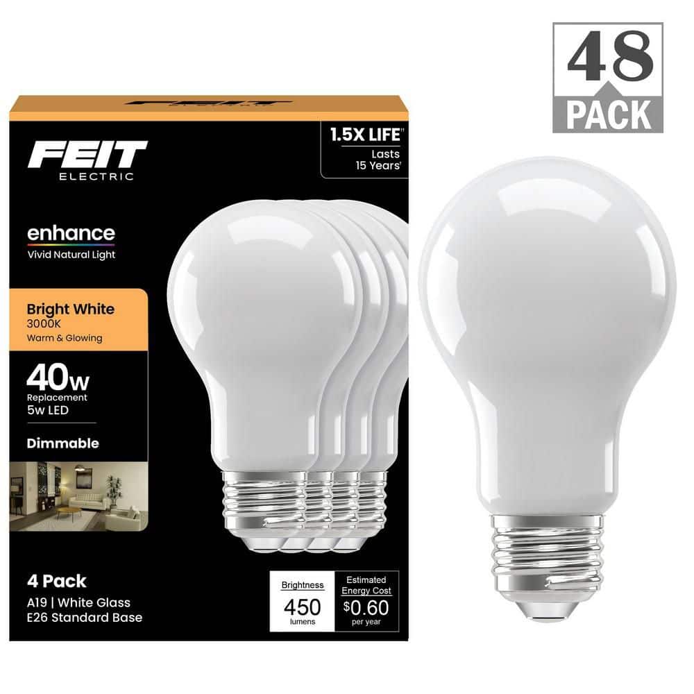 Feit Electric 40-Watt Equivalent A19 Dimmable Filament CEC 90+ CRI ...