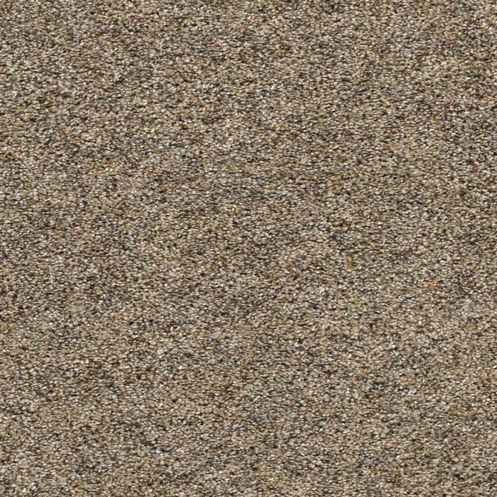 8 in. x  8 in. Texture Carpet Sample - Whispers -Color Private price history on PriceWatchPro
