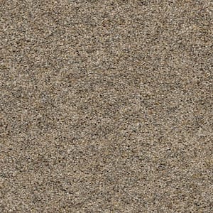 Whispers  - Private - Beige 38 oz. SD Polyester Texture Installed Carpet