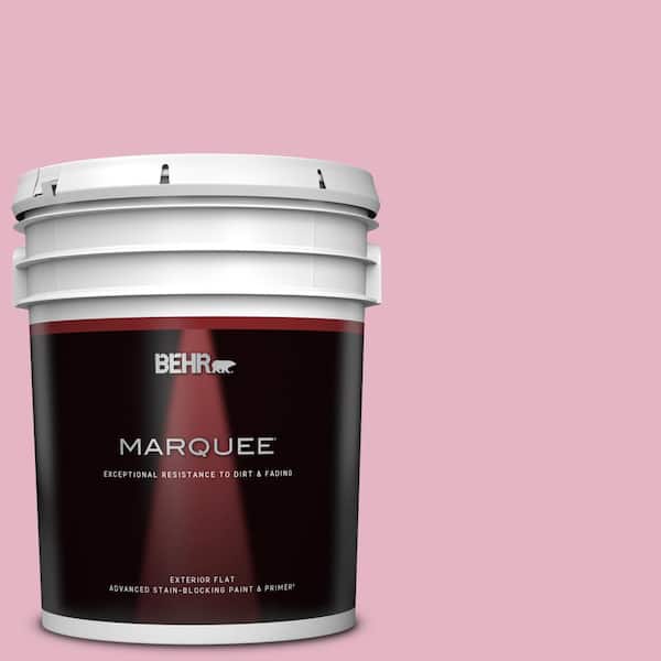 BEHR MARQUEE 5 gal. Home Decorators Collection #HDC-SP16-10 Japanese Rose Garden Flat Exterior Paint & Primer