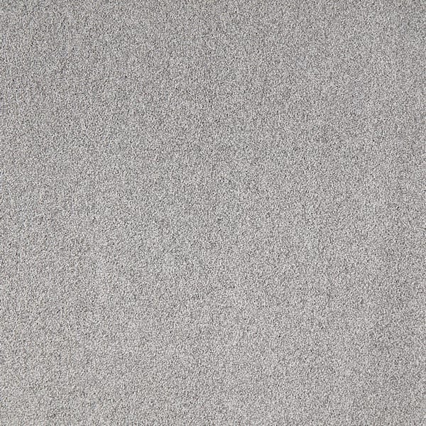 Lifeproof with Petproof Technology Silver Mane I - Shadow - Gray 50 oz. Triexta Texture Installed Carpet