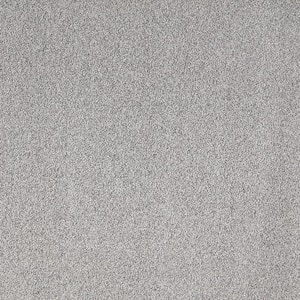 Silver Mane II  - Shadow - Gray 65 oz. Triexta Texture Installed Carpet