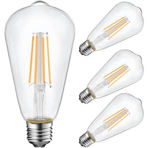 60-Watt Equivalent ST19 LED Vintage Edison Light Bulb 5000K (4-Pack)