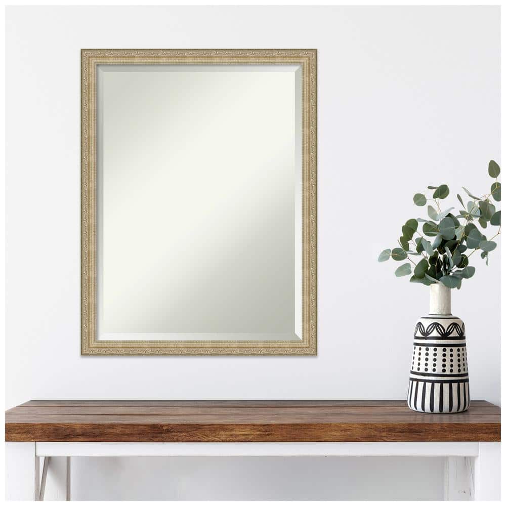Paris Champagne Elegance 20x26 Bronze-Gold Rectangular Wall Mirror
