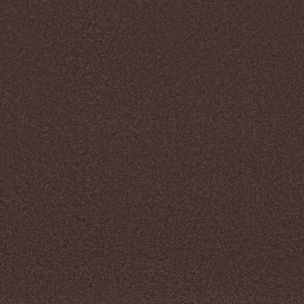 8 in. x 8 in. Texture Carpet Sample-Park Royal II-Color Nightfall price history on PriceWatchPro