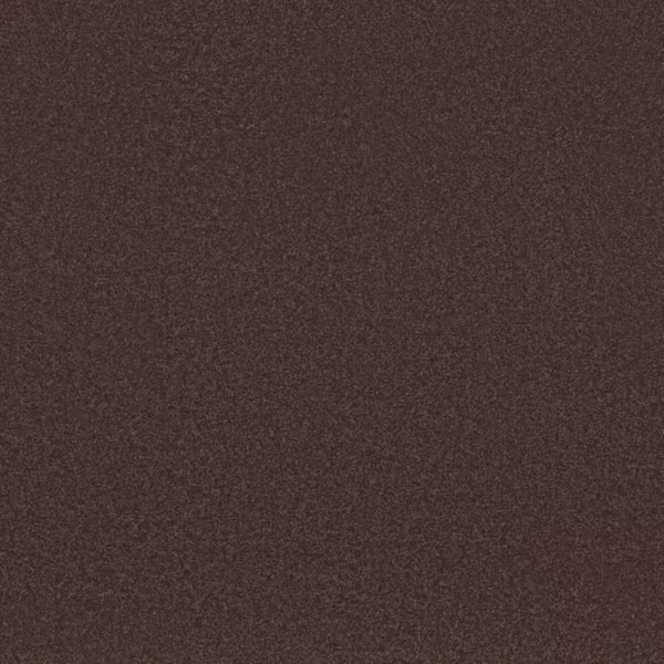 8 in. x 8 in. Texture Carpet Sample-Park Royal II-Color Nightfall