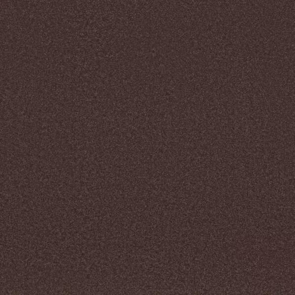 8 in. x 8 in. Texture Carpet Sample-Park Royal I-Color Nightfall