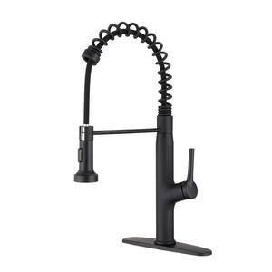 Single Handle Pull Out Sprayer Kitchen Faucet with Deckplate Included and 2 Modes in Matte Black