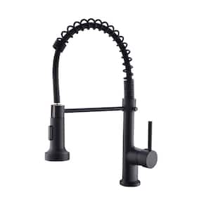 Single Handle Pull Down Sprayer Kitchen Faucet with Dual Function Sprayhead in Matte Black