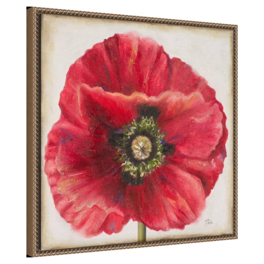 Red Poppy Beaded Perimeter Framed Canvas Wall Art