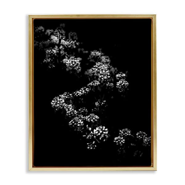 Stupell Industries Curved Blossom Line by Brian Carson Gold Floater Frame Nature Graphic Art Print 21 in. x 17 in.