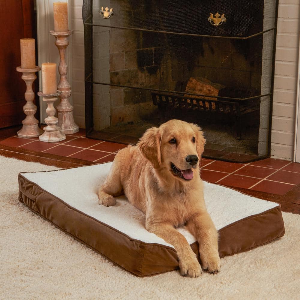 Latte Sherpa Orthopedic Small Dog Bed with Microfiber Cover