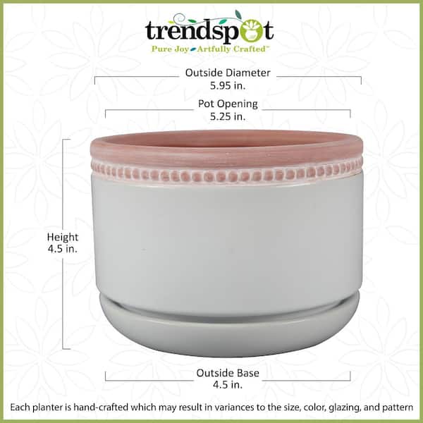 Trendspot 6 in. W Ceramic Planter White