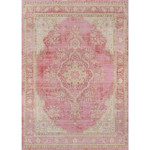 Isabella Pink 2 ft. x 3 ft. Indoor Area Rug