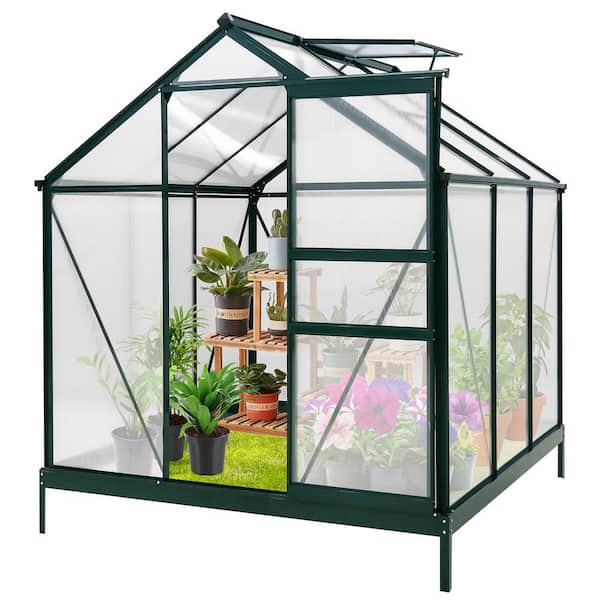EAGLE PEAK 6 ft. W x 6 ft. D x 7 ft. H Outdoor Walk-In Hobby Greenhouse with Sliding Door