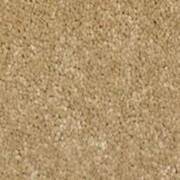 Home Decorators Collection Sycamore I - Laurel - Brown 45 oz. SD Polyester Texture Installed Carpet