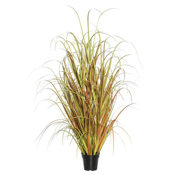 TN170836 Case of 2 Details about  / Vickerman 36/" Mixed Brown Grass in Pot